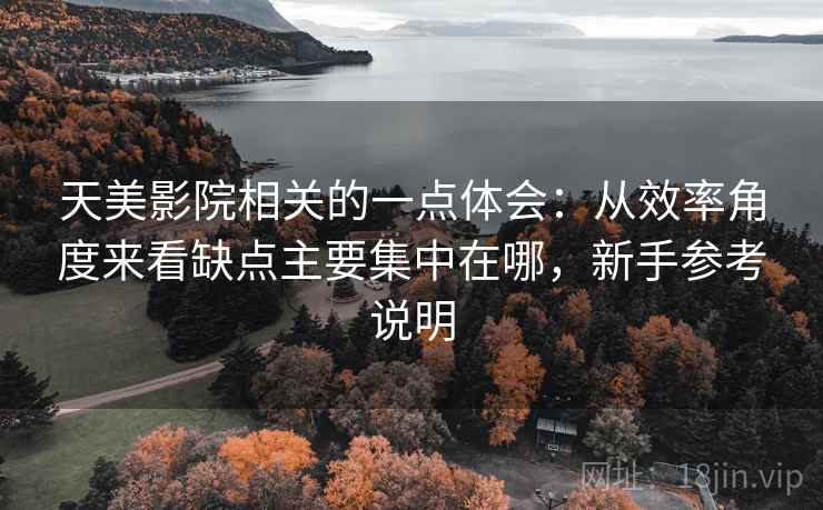 天美影院相关的一点体会：从效率角度来看缺点主要集中在哪，新手参考说明