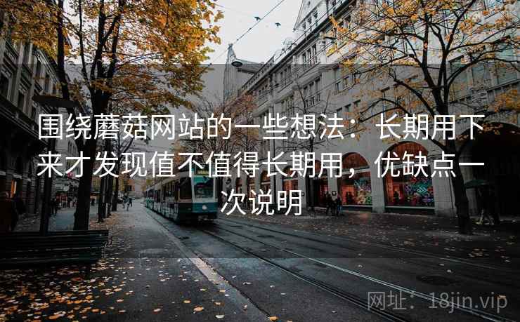 围绕蘑菇网站的一些想法：长期用下来才发现值不值得长期用，优缺点一次说明