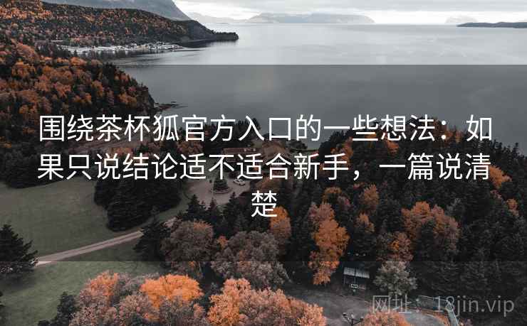 围绕茶杯狐官方入口的一些想法：如果只说结论适不适合新手，一篇说清楚